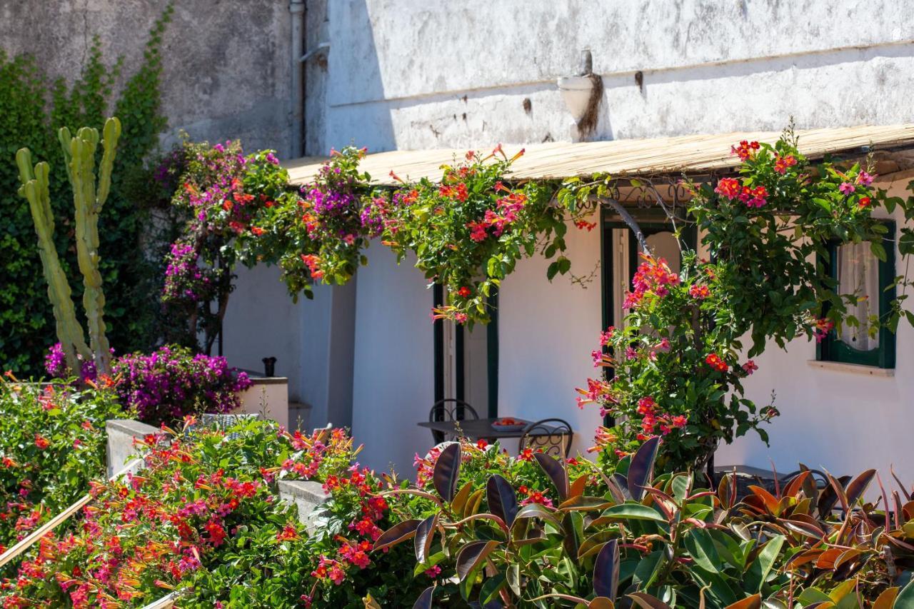 Willa Il Pettirosso In Positano Zewnętrze zdjęcie